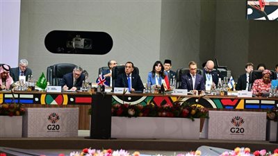 رئيس الوزراء يشارك في فعاليات الجلسة الافتتاحية لقمة مجموعة العشرين بجوهانسبرج