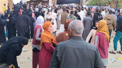 السيدات زين الطوابير.. توافد الناخبين على لجان الاقتراع في شمال سيناء