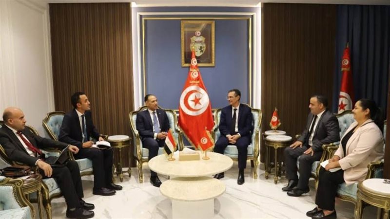 لقاء السفير المصري