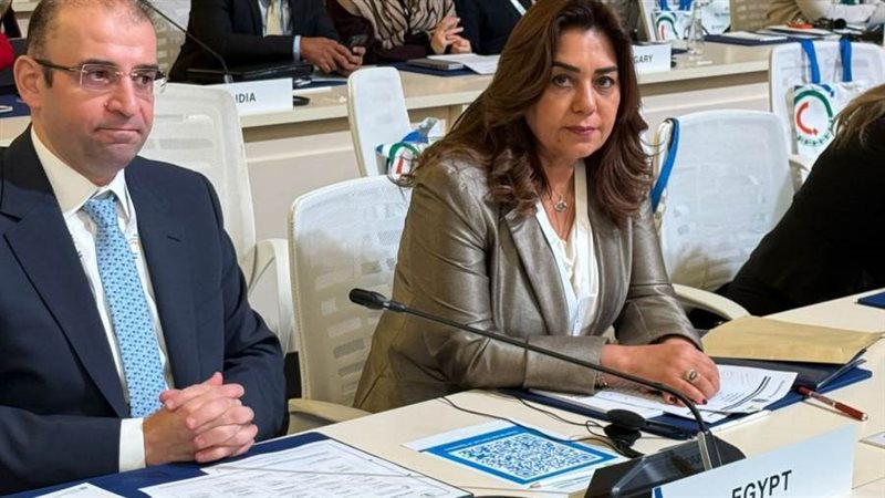 وزيرة التنمية المحلية