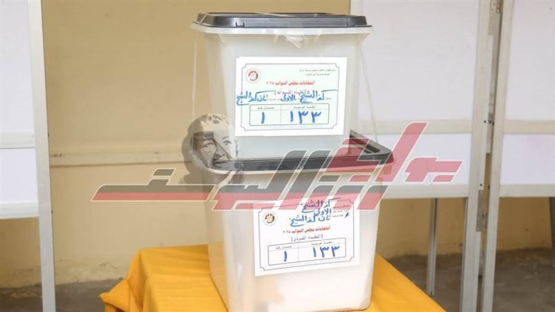 اللجان الانتخابية