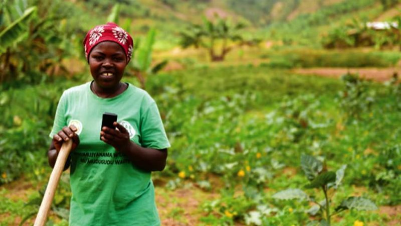 الزراعة الأفريقية