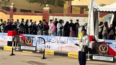 الائتلاف المصري لحقوق الإنسان: بداية هادئة واستقرار كامل في لجان انتخابات النواب