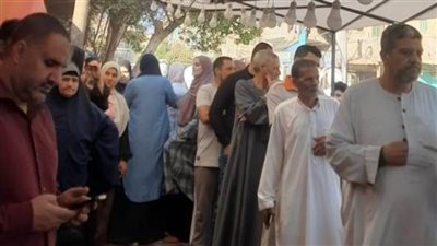 توافد المواطنين على اللجان للإدلاء بأصواتهم في ثاني أيام الانتخابات البرلمانية بالقليوبية 