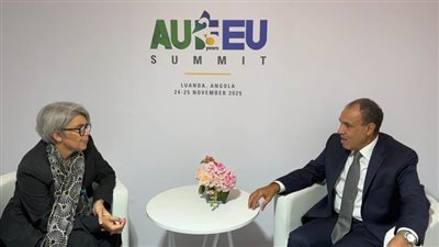 وزير الخارجية يلتقي مبعوثة الاتحاد الأوروبي للقرن الأفريقي