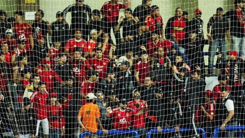 جمهور الأهلى