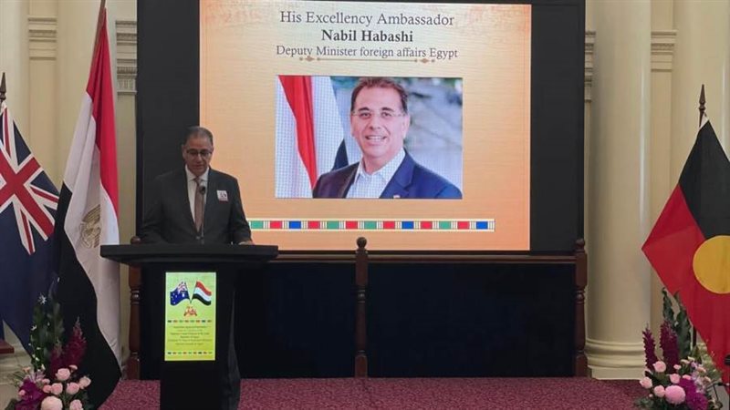 كلمة نائب وزير الخارجية