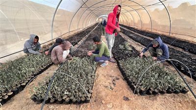 وزير الزراعة يستعرض جهود 