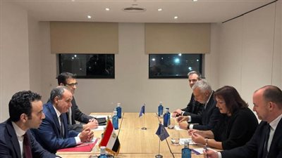 تعزيز الشراكة المصرية الأوروبية في مباحثات وزير الخارجية والمفوضة الأوروبية للمتوسط