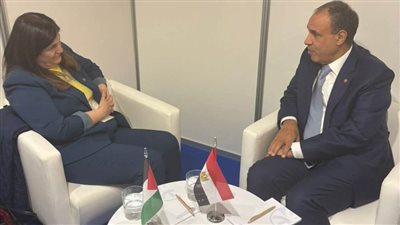 وزيرا خارجية مصر وفلسطين يتشاوران حول تطورات الأوضاع في الأراضي المحتلة