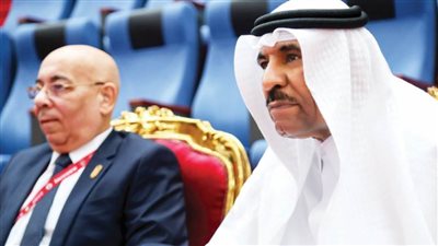 نائب رئيس الاتحاد الدولي للكاراتيه: مصر قادرة على تنظيم نسخ أخرى لبطولة العالم