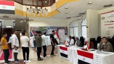 انطلاق تصويت المصريين بالإمارات في الدوائر الملغاة بالمرحلة الأولى لانتخابات النواب