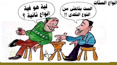 أنواع الستات