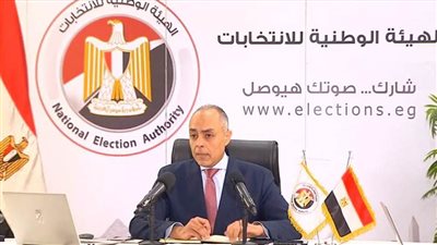 الوطنية للانتخابات: إقبال كثيف للتصويت في انتخابات مجلس النواب بالدول العربية