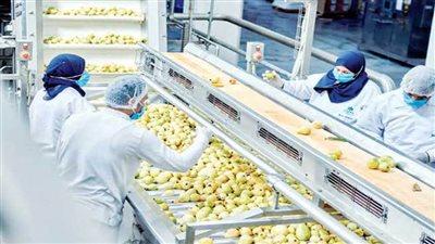 الصناعات الغذائية تحقق إنجازًا بصادرات تتجاوز 5.8 مليار دولار حتى نهاية أكتوبر