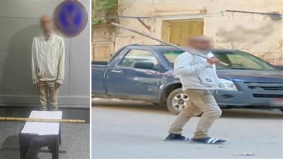 كشف ملابسات تداول فيديو بقيام شخص بالتعدي بالضرب على الحيوانات الأليفة والتسبب في نفوقها بالإسكندرية