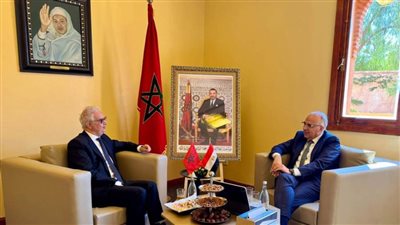 وزير الري: مصر تحرص على تعزيز التعاون مع المغرب 