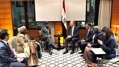 وزير البترول يبحث الشراكة وتبادل الخبرات مع نيجيريا  في قطاع التعدين