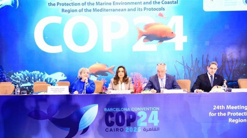 مصر تتسلم رئاسة COP24
