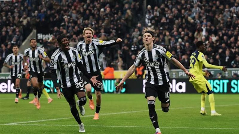 بوابة روز اليوسف