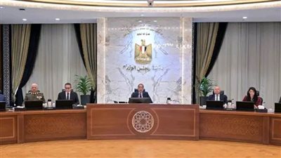 رئيس جهاز التعبئة والإحصاء يُقدم عرضًا حول 