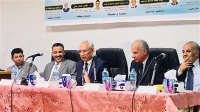 رئيس جامعة المنيا يناقش مستقبل الثروة المعدنية.. رسالة دكتوراه تستكشف نشأة المعادن الأرضية النادرة