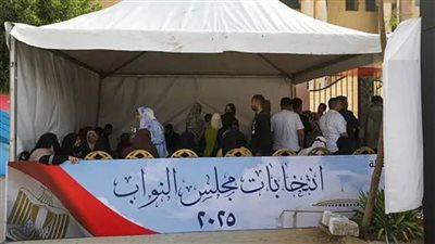 بالفيديو.. هتافات لمواطنين باسم الرئيس السيسي بعد إعادة الإنتخابات في بعض الدوائر