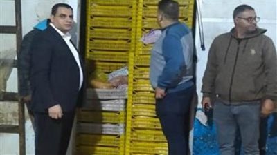 الجيزة تضبط 30 طن كفتة منتهية الصلاحية قبل طرحها للتداول بالأسواق