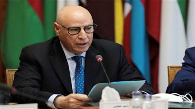 الجامعة العربية تشارك في قمة 