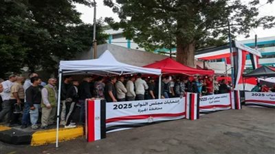 الائتلاف المصري لحقوق الإنسان يرصد إقبالًا مرتفعًا بالقرى واستمرارًا محدودًا للدعاية المخالفة