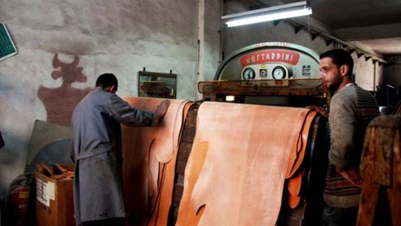 صناعة الجلود والدباغة