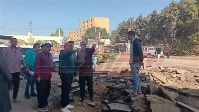 بتكلفة 30 مليون جنيه.. بدء تنفيذ مشروعات رصف مدينة دسوق