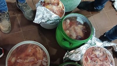 ضبط 160 كيلو لحوم ودواجن غير صالحة بالغربية
