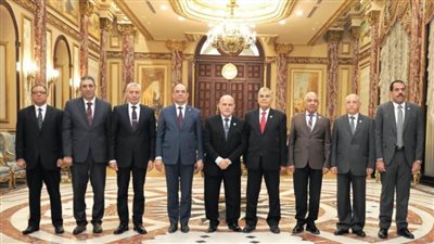 رئيس هيئة النيابة الإدارية يزور رئيس مجلس الشيوخ