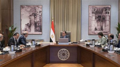 رئيس الوزراء يتابع مع وزير الطيران عددًا من ملفات العمل