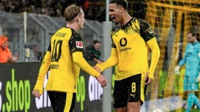 دورتموند يفوز على هوفنهايم بهدفين في الدوري الألماني