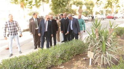 جامعة أسيوط ترفع كفاءة البنية الجمالية للحرم الجامعي وزيادة المساحات الخضراء 