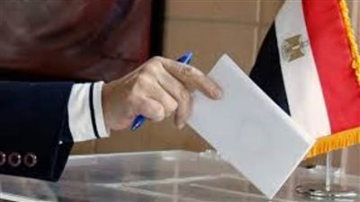 انطلاق تصويت الجالية المصرية بإيطاليا بانتخابات مجلس النواب