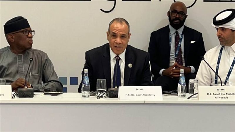 وزير الخارجية يشارك