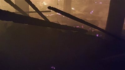 بالصور.. نفوق 7 ألاف دجاجة فى حريق مزرعة فى الغربية