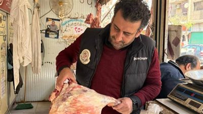 مصادرة 908 كيلو لحوم ودواجن ورنجة غير صالحة بالغربية