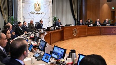 تعرف على 14 قرارًا لمجلس الوزراء اليوم 