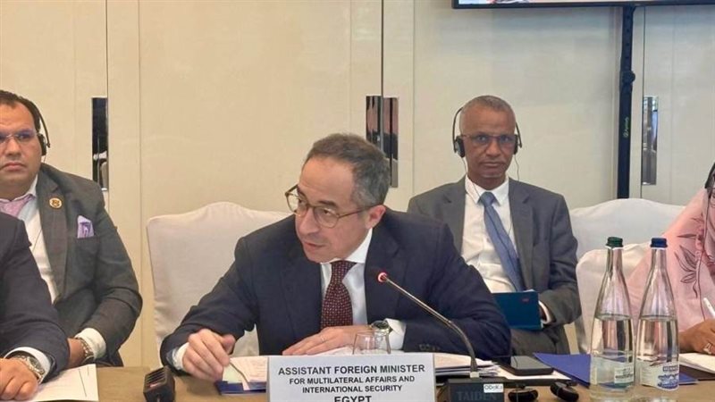 السفير عمرو الشربيني