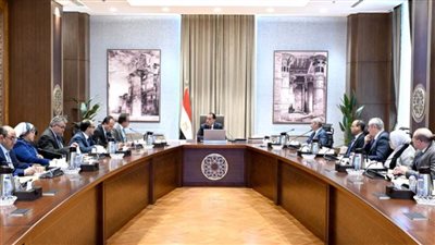 رئيس الوزراء يتابع مستجدات العمل في عدد من ملفات وزارة الصحة والسكان
