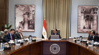 رئيس الوزراء يلتقي رئيس شركة 