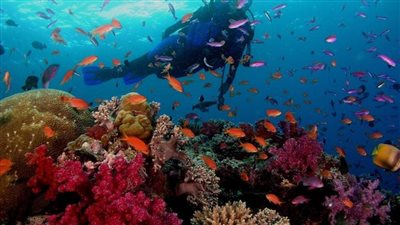 السياحة: غلق 126 كيانا غير مرخص بجنوب سيناء