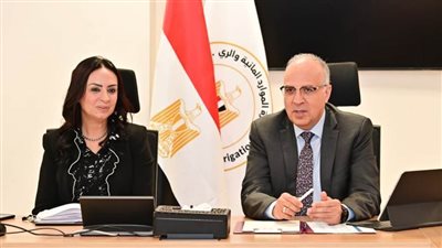 وزيرا الري والتضامن يبحثان استغلال نبات ورد النيل لإنتاج منتجات ومشغولات يدوية