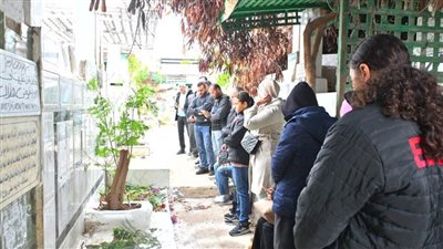 في لفتة وفاء ومحبة.. سباحو الزهور يزورون قبر زميلهم يوسف في بورسعيد