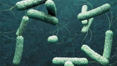 تفشي الكوليرا في الكونغو الديمقراطية يصبح الأسوأ خلال 25 عاما