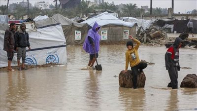 14 وفاة نتيجة البرد والانهيارات خلال أقل من 24 ساعة بغزة